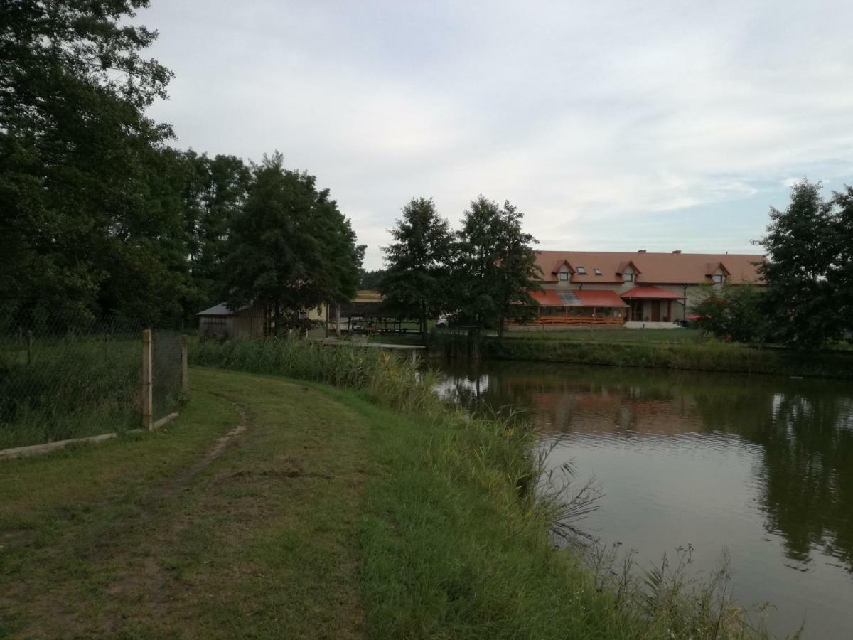 Agrowczasy Nad Stawem Villa Gartatowice Exterior photo